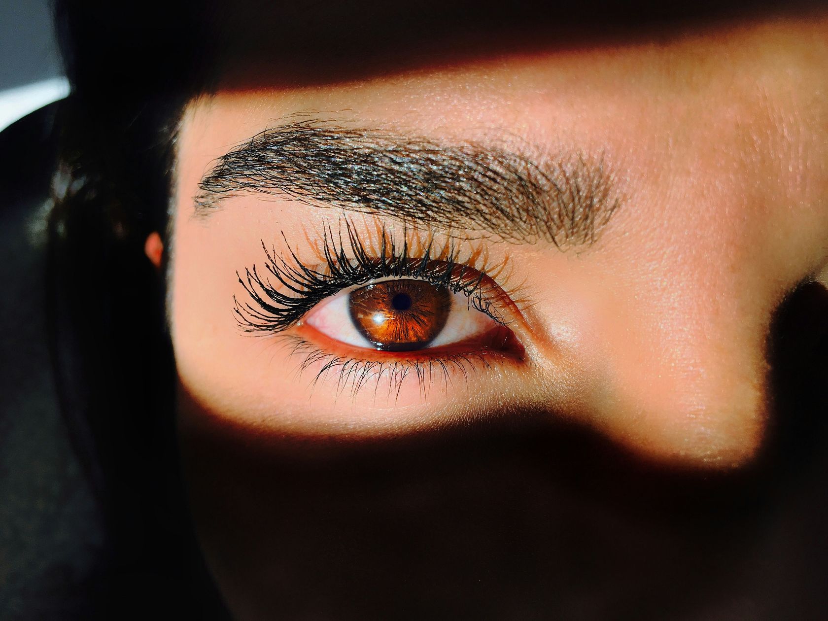 Lash & Brow Artists